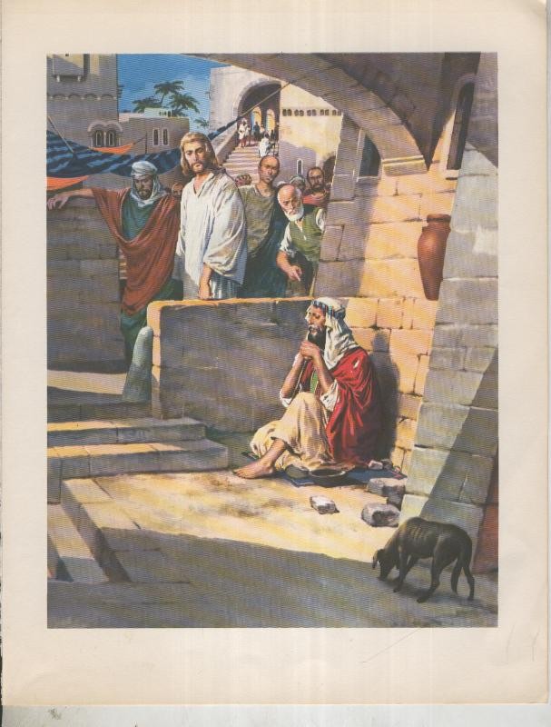 Nuevo Testamento: Historia de Jesus: Lamina 13