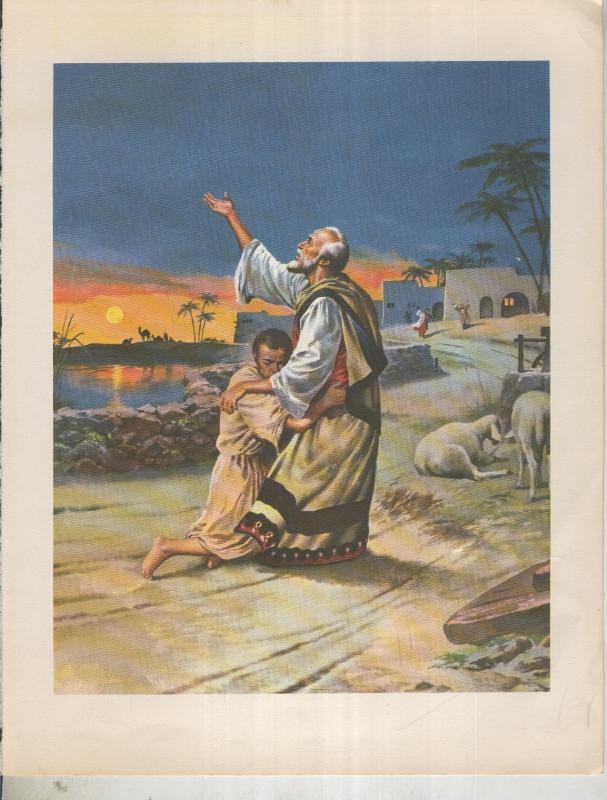 Nuevo Testamento: Historia de Jesus: Lamina 15