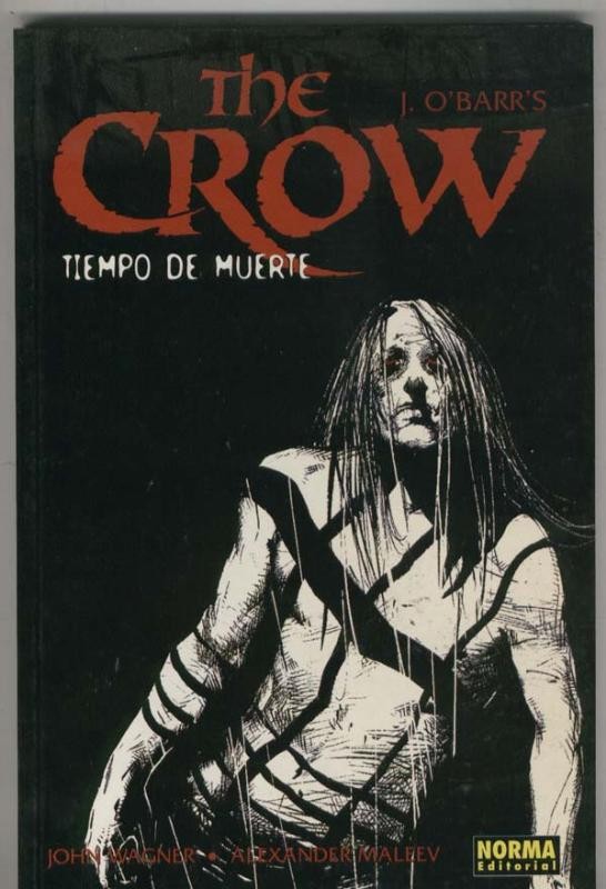 The Crow: tiempo de muerte