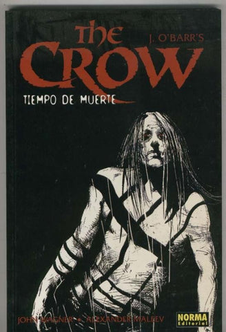 The Crow: tiempo de muerte