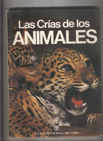 Las crias de los animales