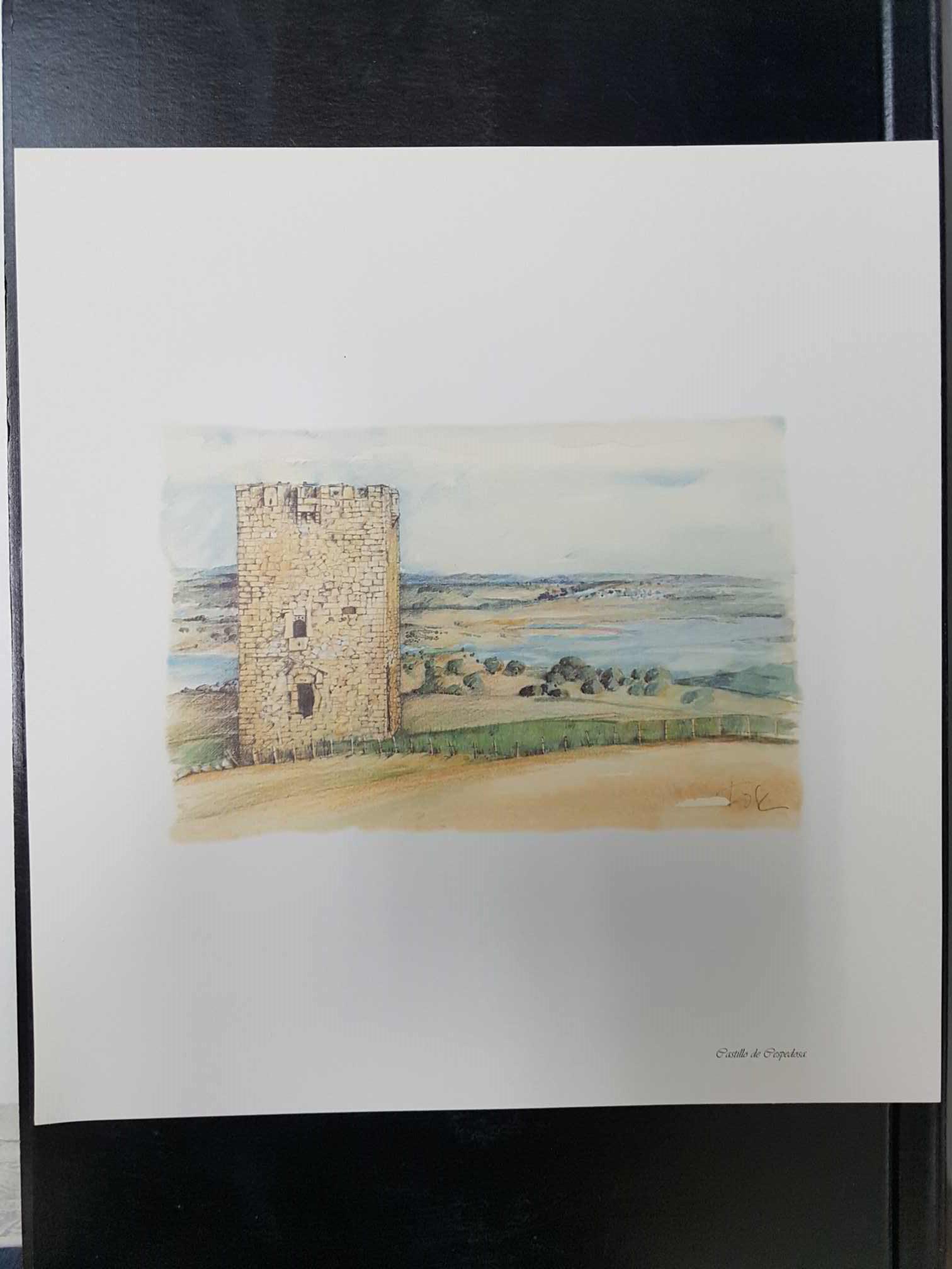 Lamina de Salamanca: Castillo de Cespedosa