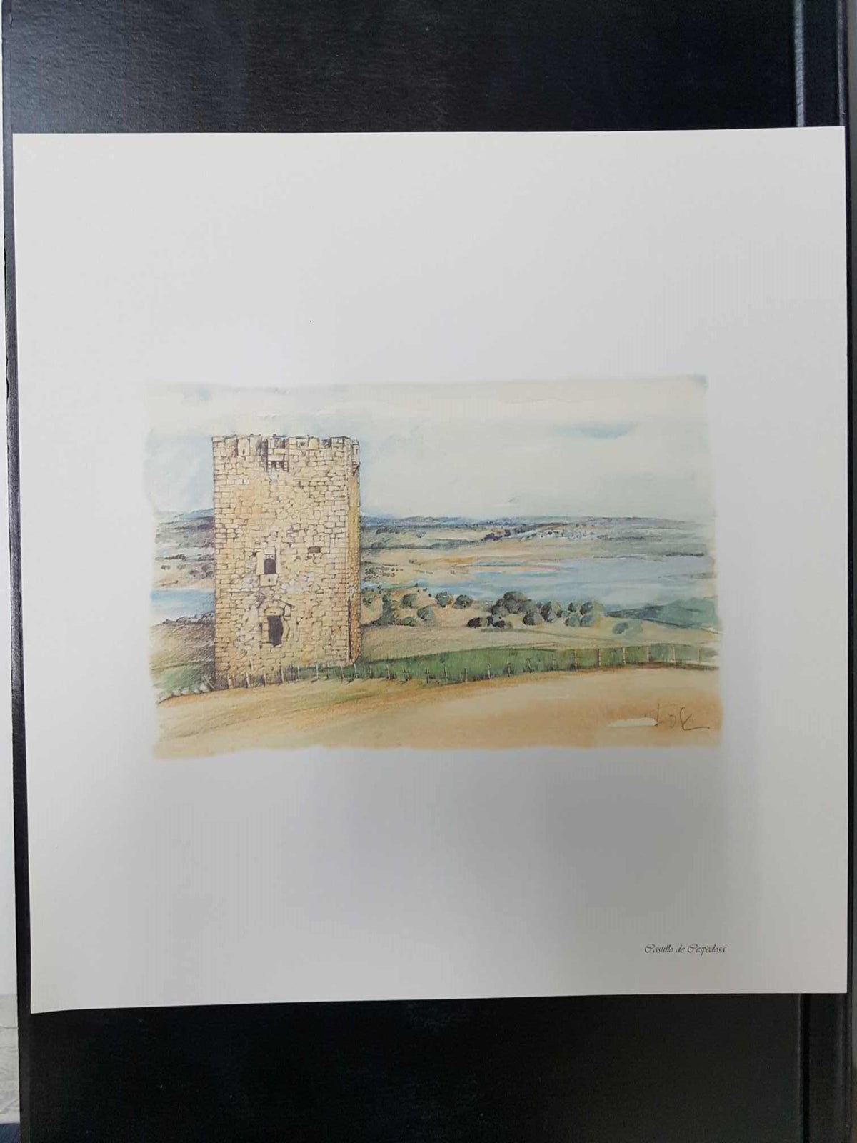 Lamina de Salamanca: Castillo de Cespedosa