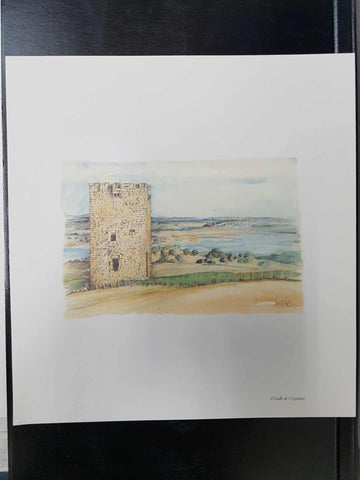 Lamina de Salamanca: Castillo de Cespedosa