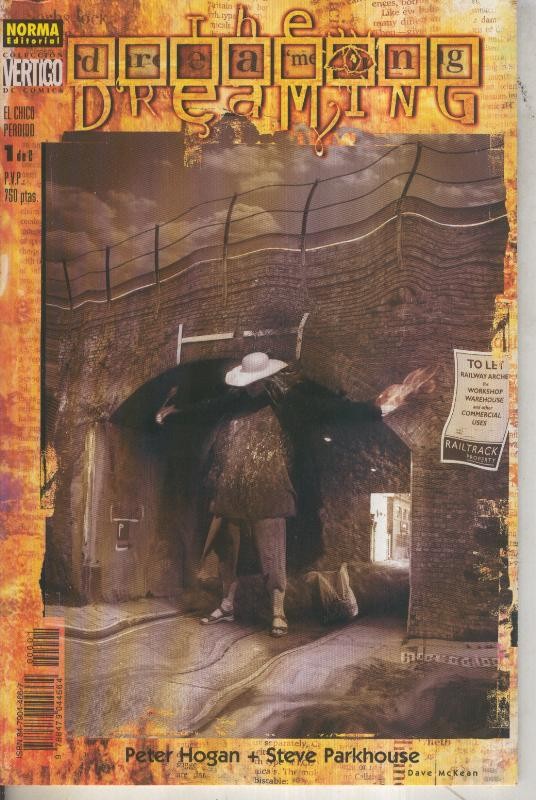 Coleccion Vertigo numero 014: The Dreaming: El chico perdido numero 1