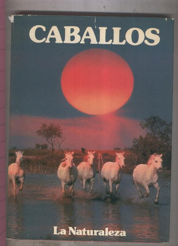 Caballos