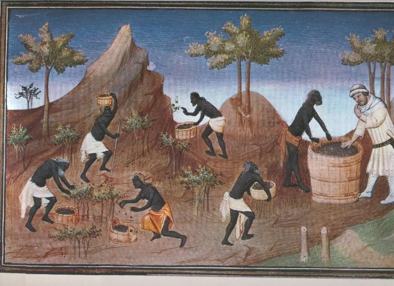 El Libro de las maravillas de Marco Polo, lamina 11