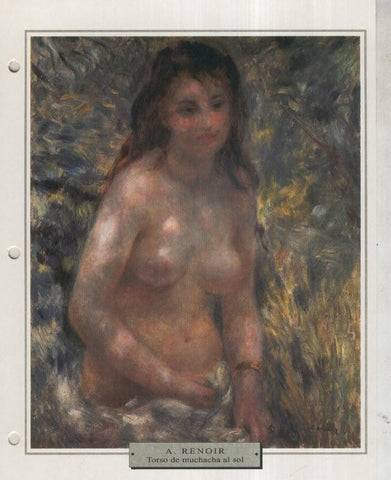 Lamina 37: Auguste Renoir: Torso de muchacha al sol