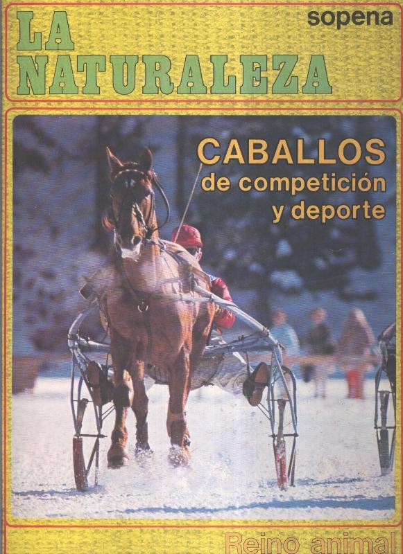 La Naturaleza: Caballos de competicion y deporte