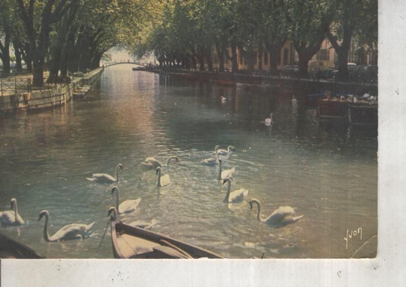 Postal 012395: Le Canal et le Pont des Amours en Annecy, Francia