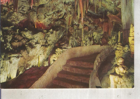 Postal 012488: Sala de la Palmera en la cuevas de Campanet, Mallorca