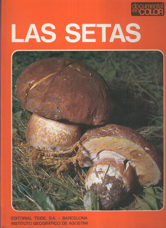 Documental en color: Las setas