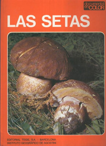 Documental en color: Las setas