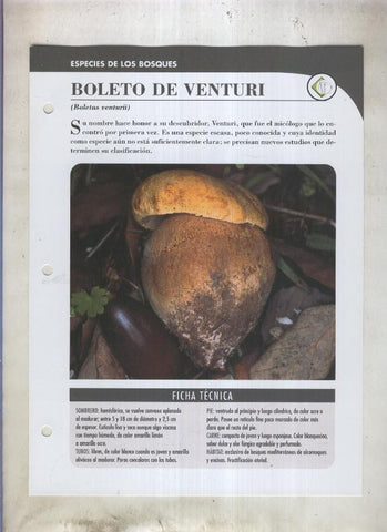 Bolets ficha 017: Boleto de venturi (Boletus venturii)