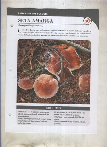 Bolets ficha 025: Seta amarga (Leucopaxillus gentianeus)