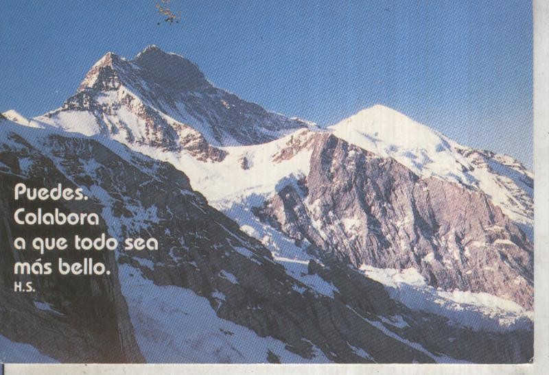 Postal 012742: Puedes colaborar a que todo sea mas bello