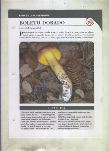 Bolets ficha 068: Boleto dorado (Aureoboletus gentilis)