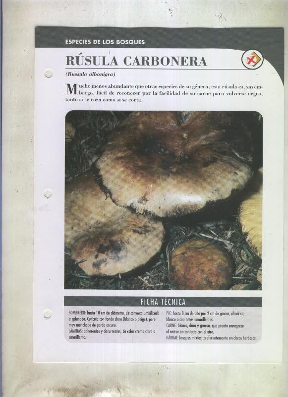 Bolets ficha 074: rusula carbonera (Russula albonigra)