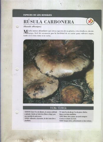 Bolets ficha 074: rusula carbonera (Russula albonigra)