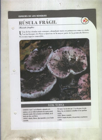 Bolets ficha 082: Rusula fragil (Russula fragilis)