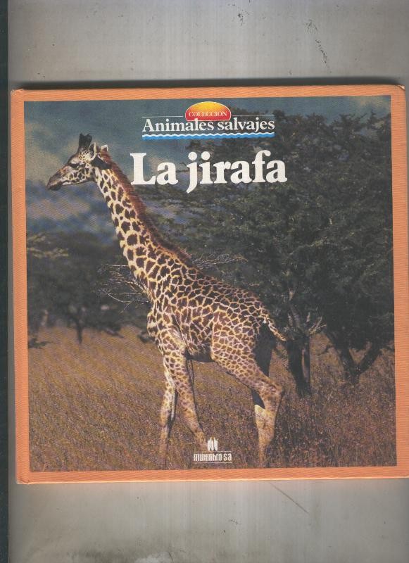 Animales Salvajes numero 05: La jirafa