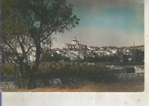 Postal 013111: Vista parcial de Montroig 