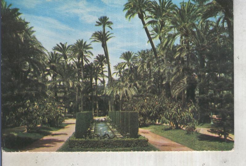 Postal 013158: Parque Municipal de Elche