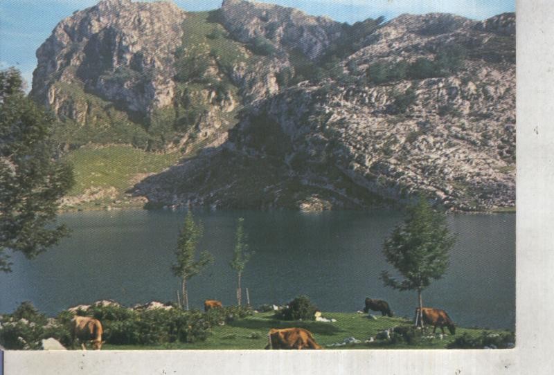 Postal 013222: Lago Enol en Covadonga, Asturias