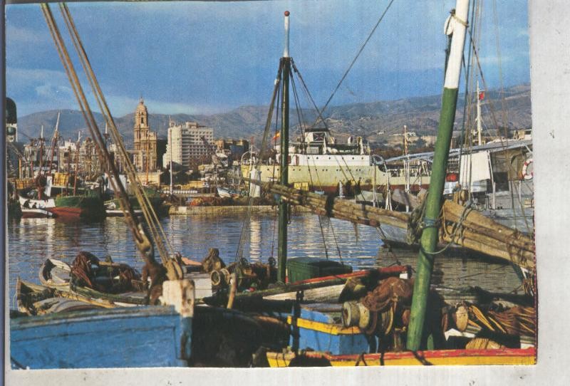 Postal 013241: Vista del puerto pesquero de Malaga