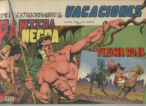Pantera Negra extraordinario vacaciones