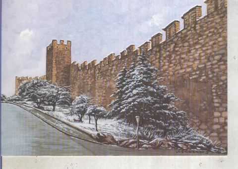 Postal 013543: Murrallas de Montblanc
