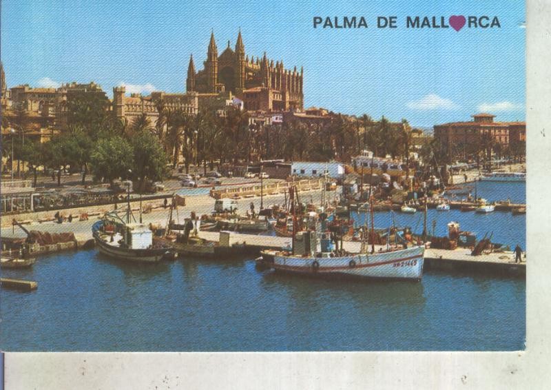 Postal 013592: Puerto pescadores y Catedral de Palma de Mallorca