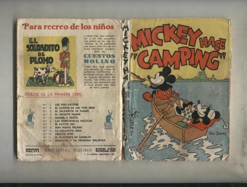 Mickey hace camping