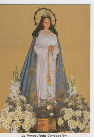 Postal 013669: Virgen La Inmaculada Concepcion