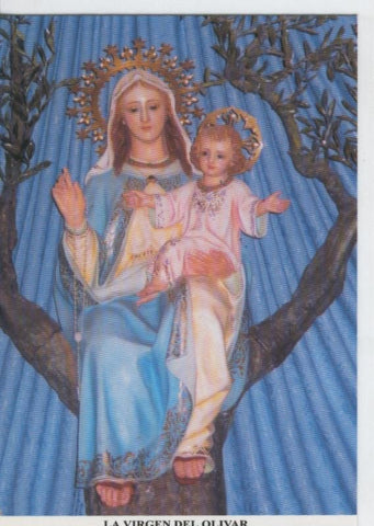 Postal 013768: Virgen del olivar