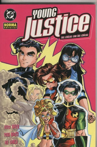 Young Justice: los chicos con las chicas