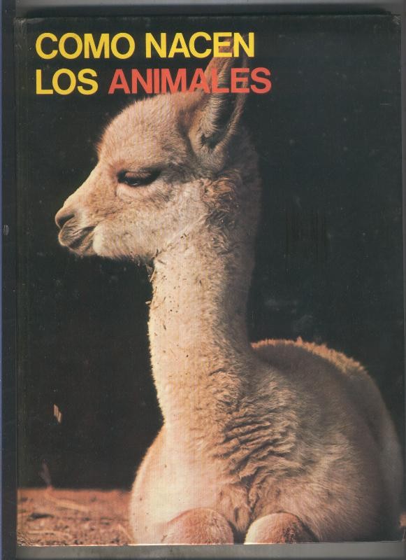 Los grandes enigmas del mundo animal: Como nacen los animales