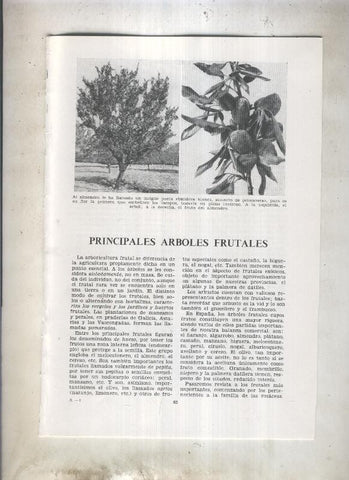 Principales arboles frutales