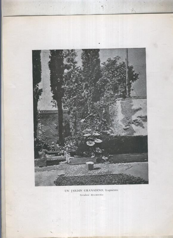 Mariano Fortuny numerado 09: Un jardin granadino, fragmento