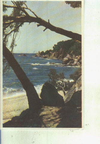 Postal 014022: Cala Santa Cristina en la costa brava de Gerona