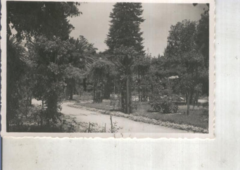 Postal 014067: Jardines del Posio en Orense