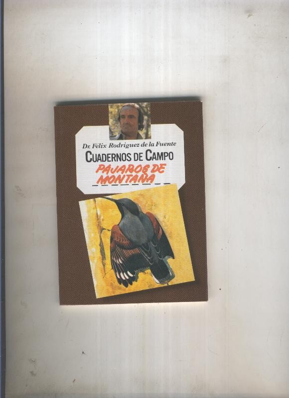 Pajaros de montaña