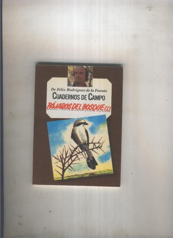 Pajaros del bosque ( 1)