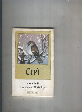 Cipi