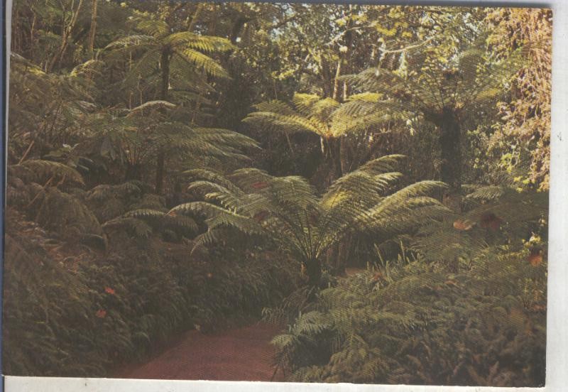 Postal 014147: Jardin en Sintra, Portugal