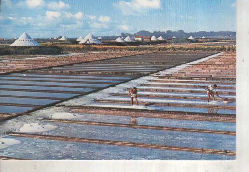 Postal 014168: Marismas de sal de Aveiro, Portugal