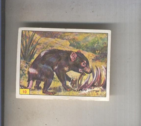Cromo  Mamiferos de Panini numero 010