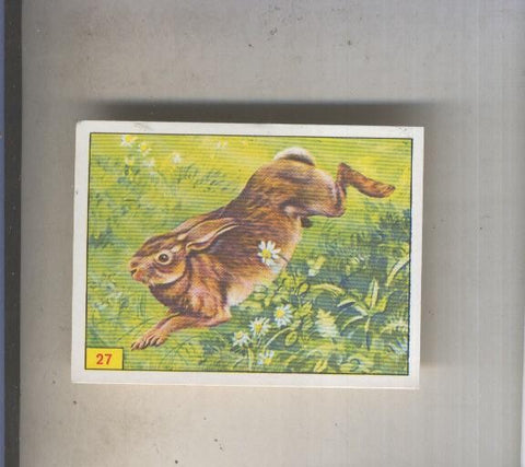 Cromo  Mamiferos de Panini numero 027