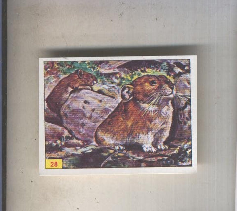 Cromo  Mamiferos de Panini numero 028
