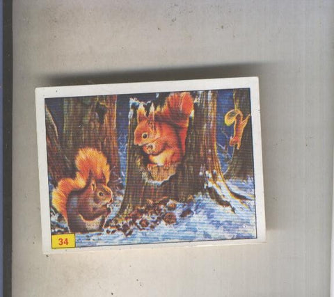 Cromo  Mamiferos de Panini numero 034